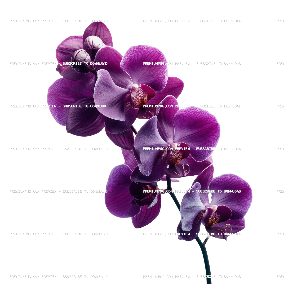 Plants and Flowers