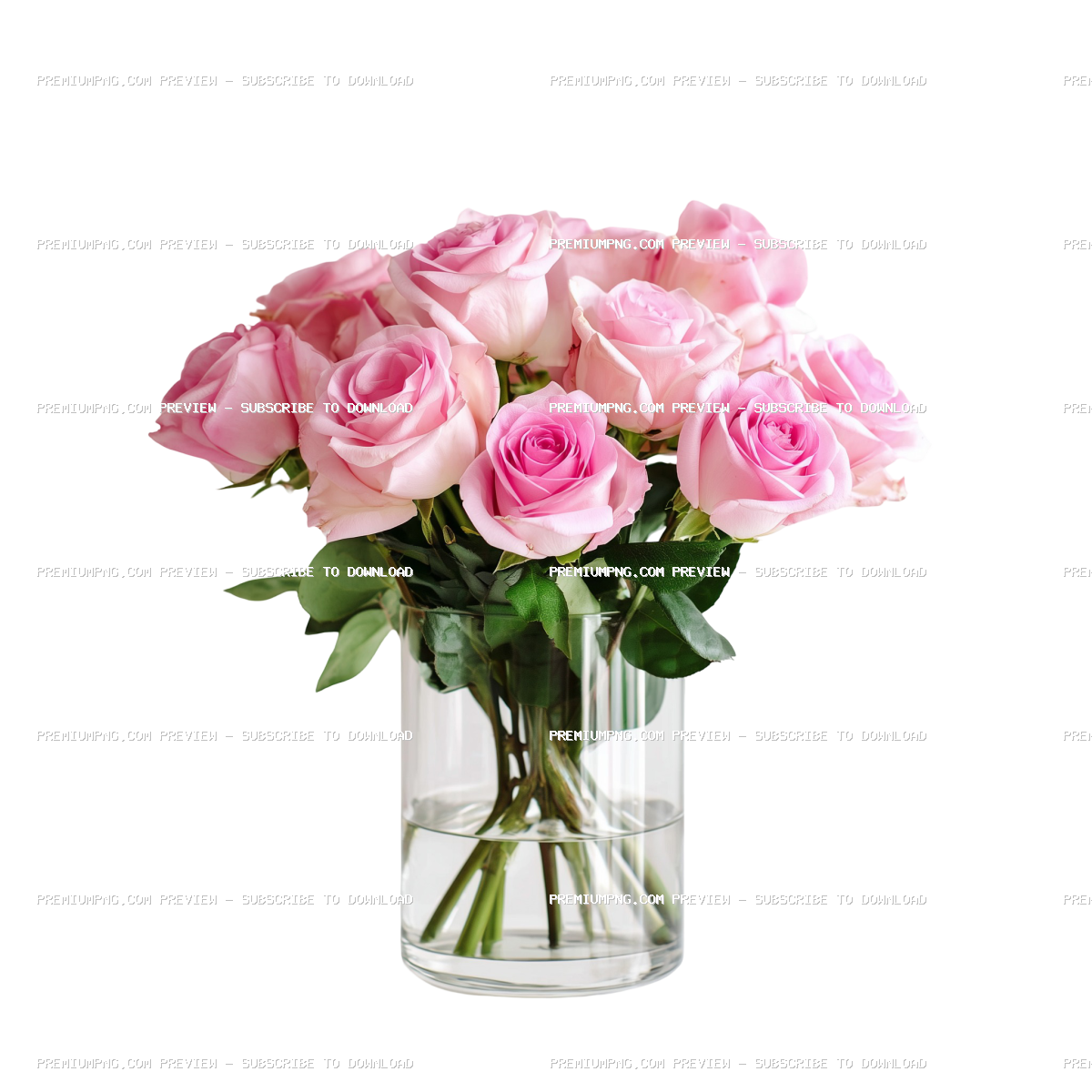 Beautiful pink roses arranged in a glass vase against a minimalist white background