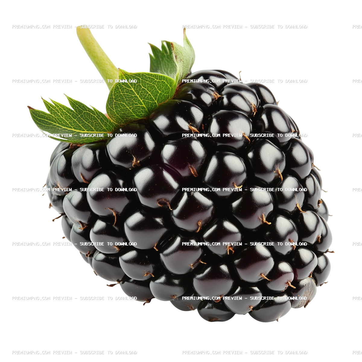 Fresh Blackberry Isolated on Transparent Background | PNG Cutout Stock Photo