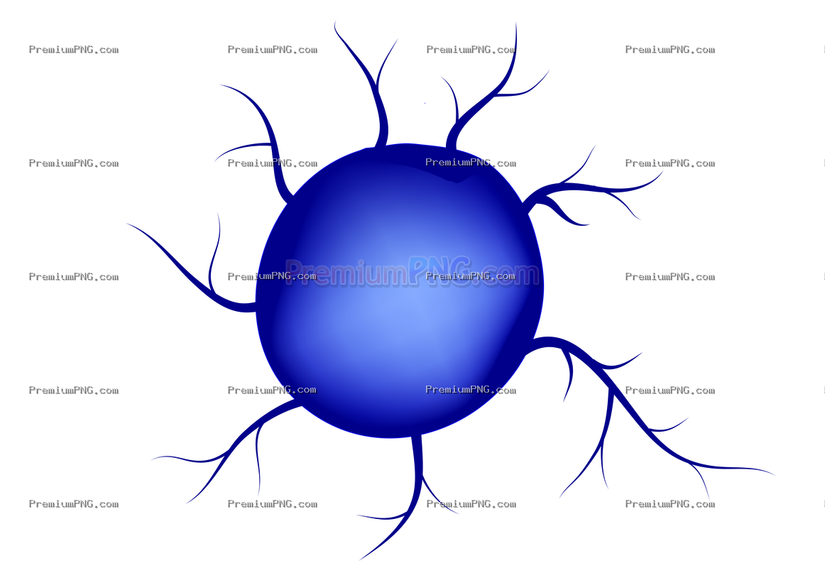 Dendritic Cell Vector EPS – High-Quality Immunology & Medical Stock Graphic